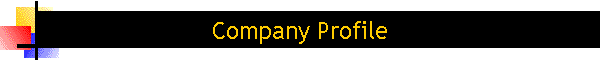 Company Profile